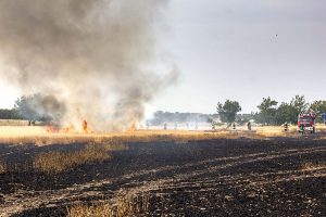 Getreidefeld brennt lichterloh