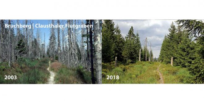 UNSER HARZ September