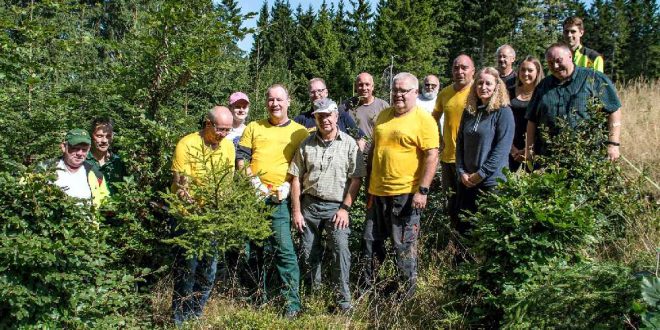 Nationalpark Harz