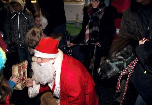 Zwei Ponys und der Nikolaus