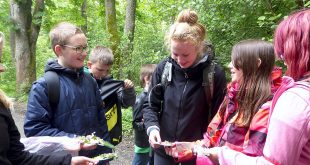 Commerzbank Umweltpraktikum