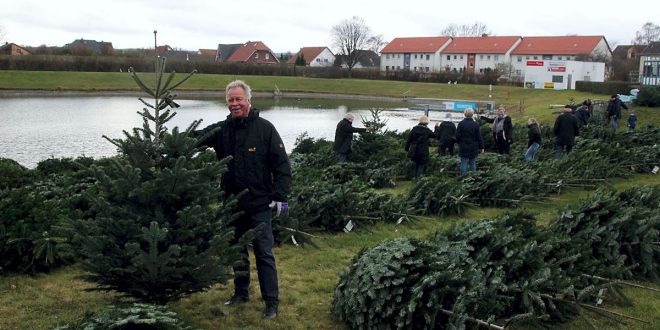 Freibad Weihnachtsbäume