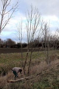 Verein zur Pflege der Werlaburgdorfer Kulturlandschaft