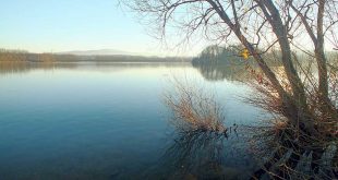 Wiedelaher See
