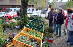 Staudenbörse der Landfrauen