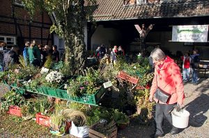 Staudenbörse der Landfrauen