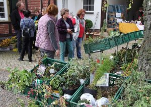 Staudenbörse der Landfrauen